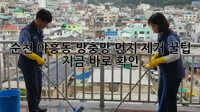 순천 야흥동 방충망 먼지 제거 꿀팁🍯 지금 바로 확인!
