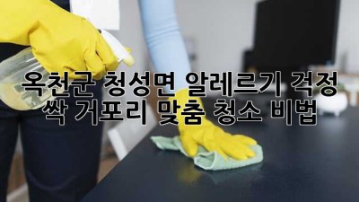 🏡 옥천군 청성면 알레르기 걱정 싹! 거포리 맞춤 청소 비법 🧹✨